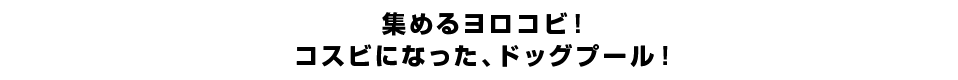 集めるヨロコビ！コスビになった、ドッグプール！